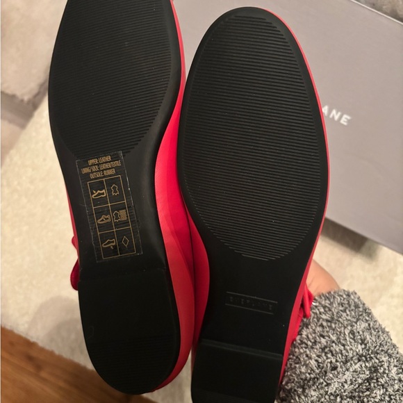 NWT Everlane Day Buckle Mary- Red Mary Jane flats - Picture 3 of 4